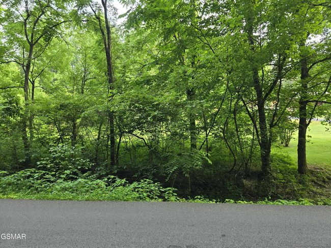 8 Mccarter Hollow Rd, Home with 0 bedrooms, 0 bathrooms and null parking in Sevierville TN | Image 14