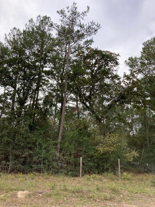 16596 Camelia Ln, Plantersville, TX, 77363-7862 | Card Image