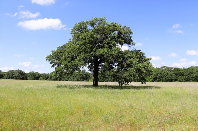 20 N Carroll St, Home with 0 bedrooms, 0 bathrooms and null parking in Henrietta TX | Image 8