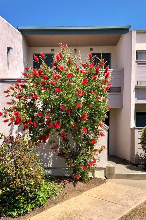 h-3254 Ashford St, San Diego, CA, 92111-5041 | Card Image