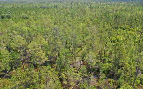 0 Sw Wire Rd, Lee, FL, 32059 | Card Image