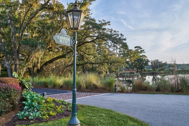 31 Carrier Blf, Home with 0 bedrooms, 0 bathrooms and null parking in Bluffton SC | Image 29