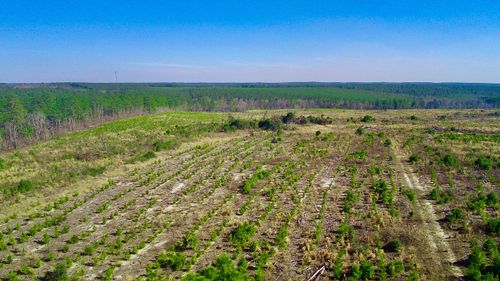 000 Three Notch Rd, Monetta, SC, 29105 | Card Image