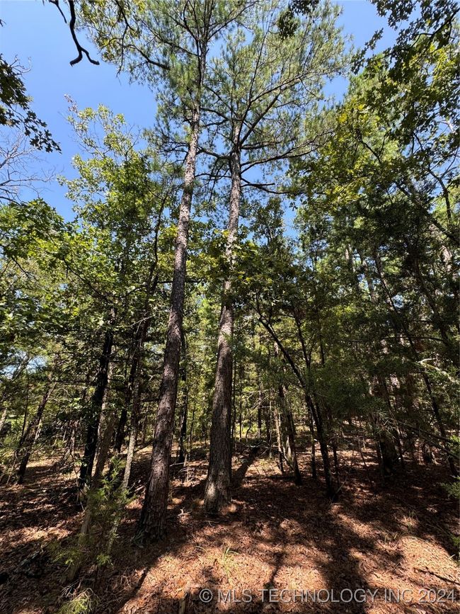 1 Se 1083 Rd Ave, Home with 0 bedrooms, 0 bathrooms and null parking in Red Oak OK | Image 7