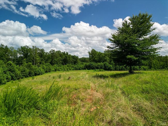 0 Allens Creek Rd, Home with 0 bedrooms, 0 bathrooms and null parking in GLADSTONE VA | Image 25