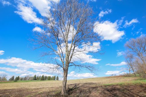 Lot 2 Monroe-Sylvester Road Road, Monroe, WI, 53566 | Card Image