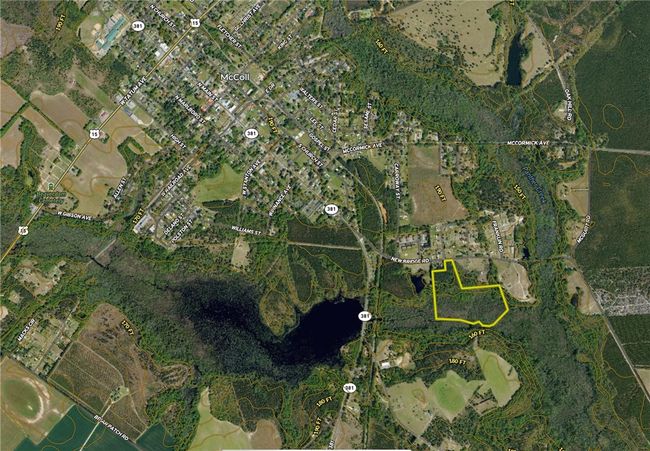 00 New Bridge Rd, Home with 0 bedrooms, 0 bathrooms and null parking in Mc Coll SC | Image 15
