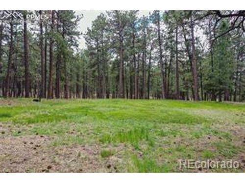 12375 Mount Shasta Dr, Elbert, CO, 80106-8820 | Card Image