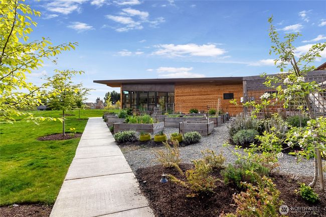 The community center is a welcoming hub serving as a focal point for residents and neighbors to come together and connect throughout the year. Shared gardens and green spaces unite neighbors with the natural surroundings, while the community center offers a space for social gatherings and events.... | Image 21