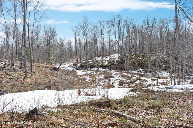 48 Durkin Rd, Home with 0 bedrooms, 0 bathrooms and null parking in North Creek NY | Image 34