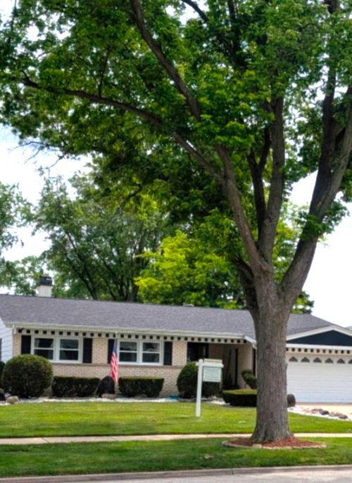 1825 E Sitka Lane E, Mount Prospect, IL, 60056 | Card Image