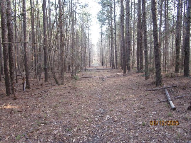 0 Obie Smith Road, Home with 0 bedrooms, 0 bathrooms and null parking in Atlanta LA | Image 7
