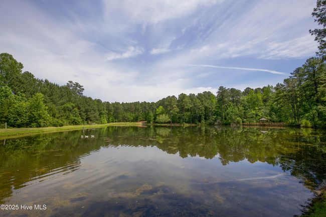 1471 Micahs Way N, House other with 3 bedrooms, 3 bathrooms and 2 parking in Spring Lake NC | Image 76