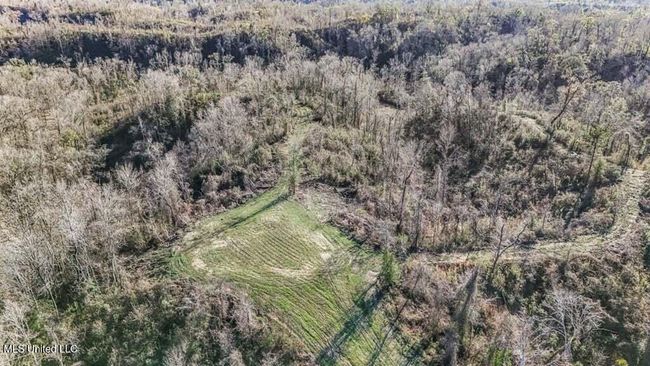 20250707195754130328000000-o | Image 25