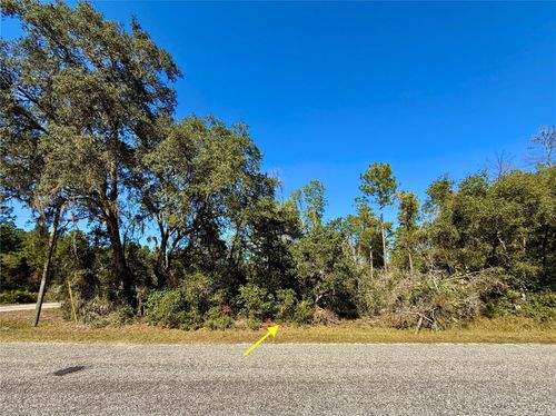 LOT 11 Tulip Ave, EUSTIS, FL, 32736 | Card Image