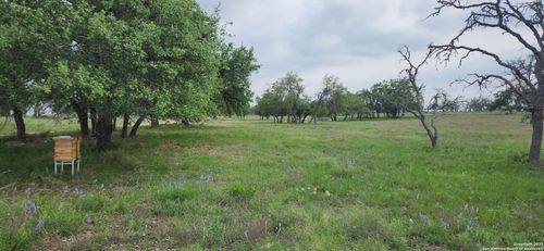 153 Fallow Dr, Harper, TX, 78631 | Card Image