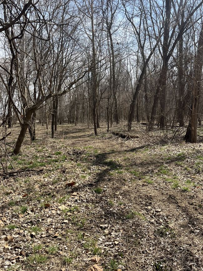 0 River Road Dr, Home with 0 bedrooms, 0 bathrooms and null parking in Columbus IN | Image 15