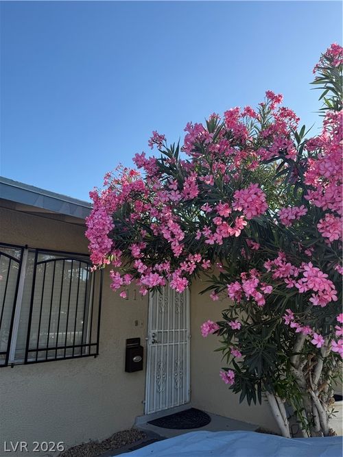 117 Frederick Ave, Las Vegas, NV, 89106-2663 | Card Image