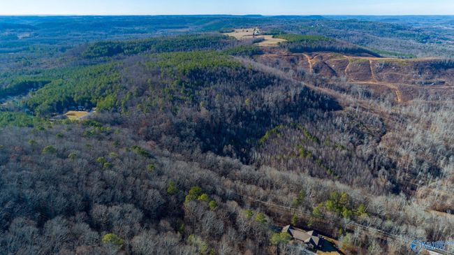 80 acres Rock Creek Rd, Home with 0 bedrooms, 0 bathrooms and null parking in Eva AL | Image 25