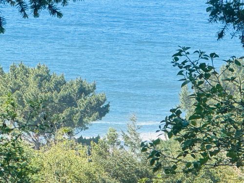865 Upper Pacific Dr, Whitethorn, CA, 95589-9163 | Card Image