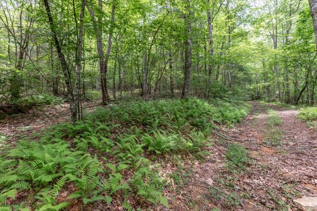 26.18 AC Green Road, Home with 0 bedrooms, 0 bathrooms and null parking in Young Harris GA | Image 23