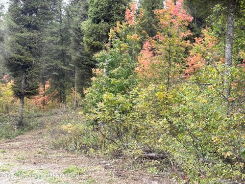 LOT 60 Cedar Drive, Star Valley Ranch, WY, 83127 | Card Image