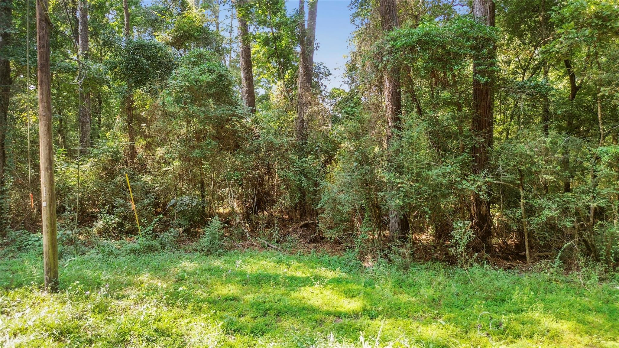 Land in Conroe
