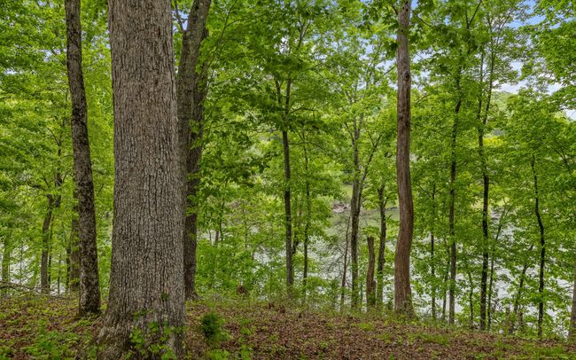 15913 Channel Point Dr, Home with 0 bedrooms, 0 bathrooms and null parking in Sale Creek TN | Image 17