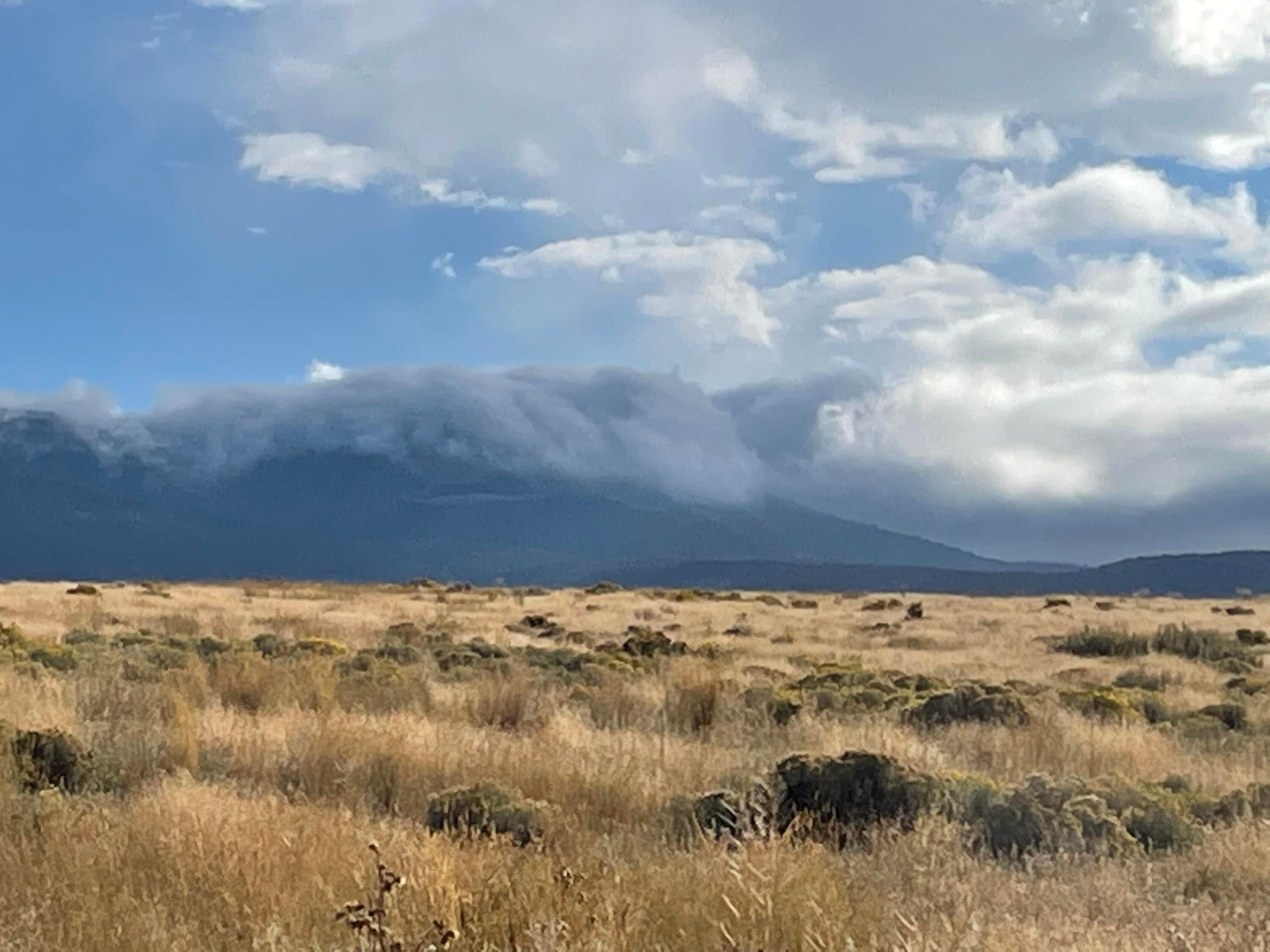 Land in Townsend 4