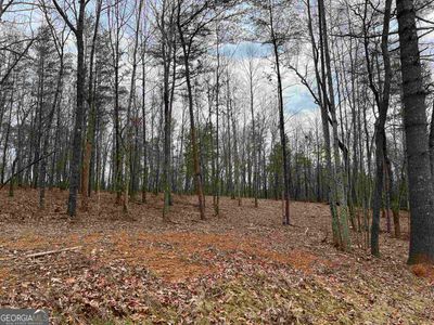 108 - LOT 108 Sautee Trace, Home with 0 bedrooms, 0 bathrooms and null parking in Clarkesville GA | Image 1