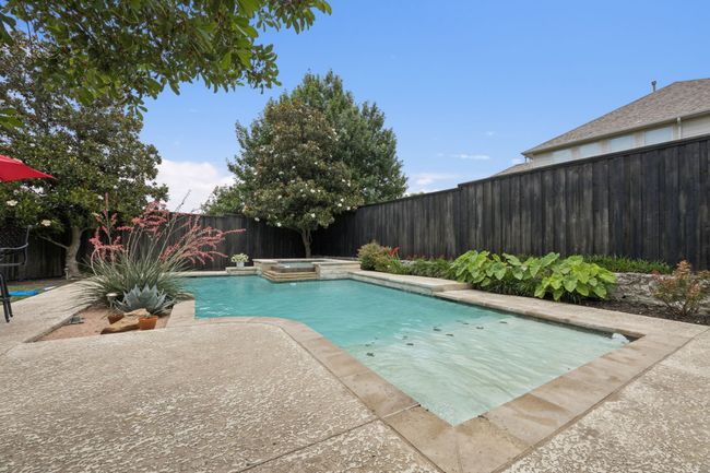 Cool off in the sparkling pool or unwind in the elevated spa, surrounded by lush landscaping and a raised stone border for added texture and privacy. | Image 33