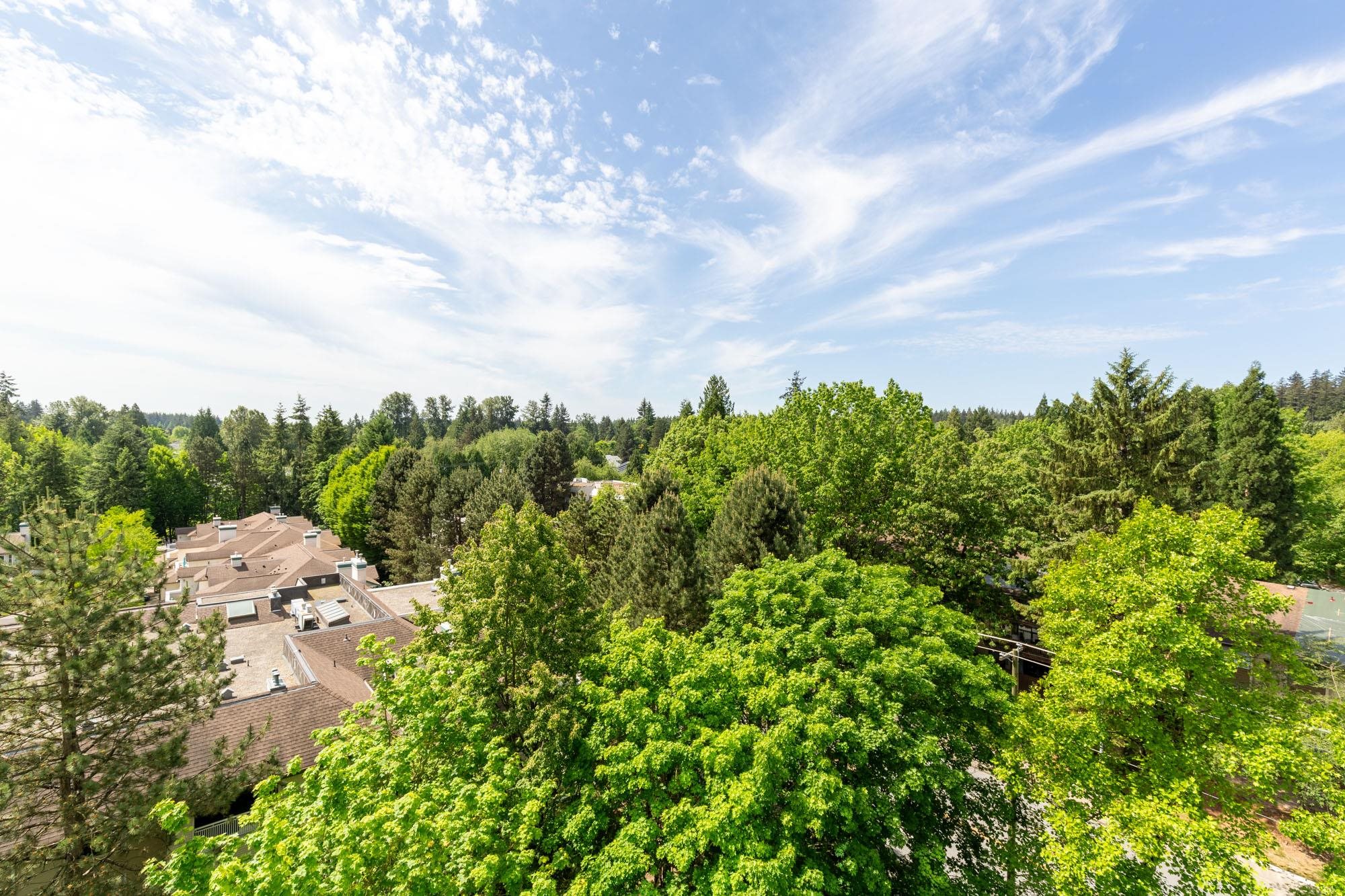 Residential in Surrey 4