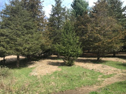 Lot 2 Creekwood Drive, South Haven, MI, 49090 | Card Image