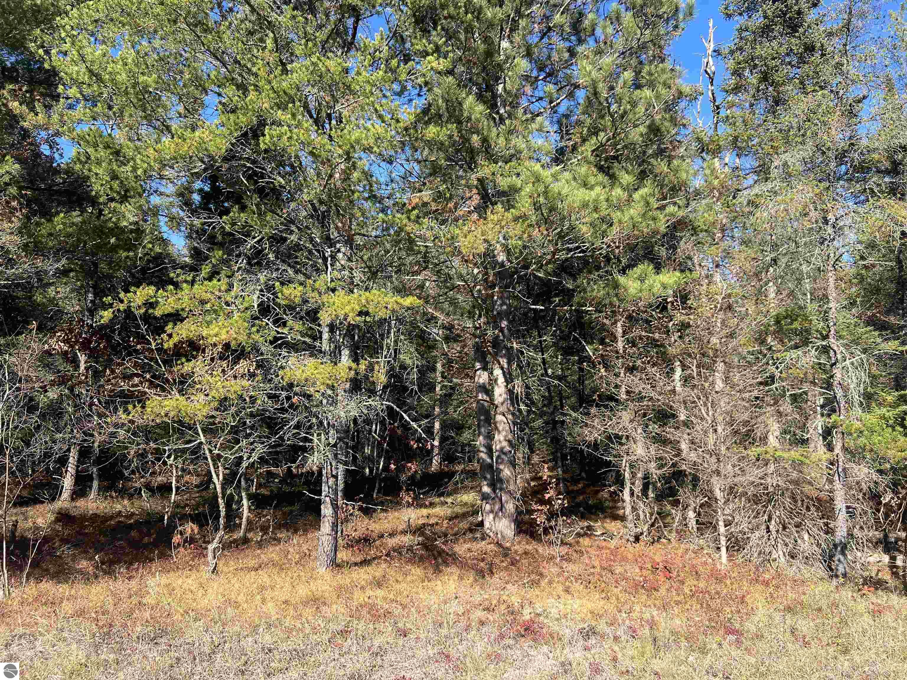 Land in Grayling 3