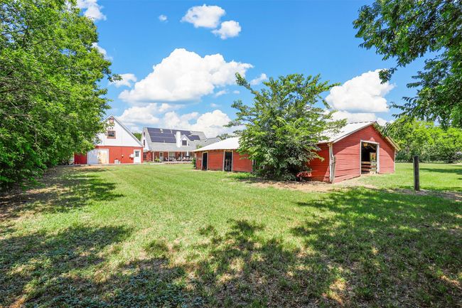 View of yard | Image 13
