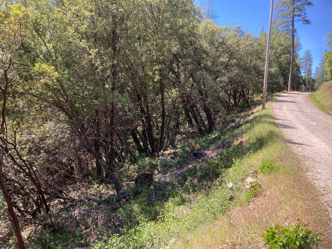 16688 Sonshine Ln, Home with 0 bedrooms, 0 bathrooms and null parking in Sutter Creek CA | Image 62