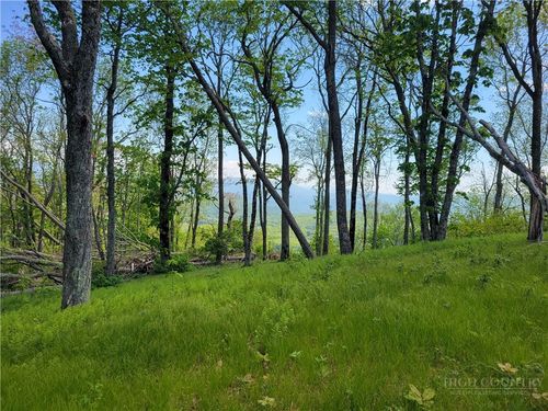Lot 60 Monteagle Subdivision, Banner Elk, NC, 28604 | Card Image