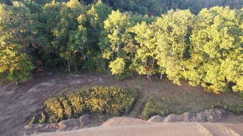 lot #20 Sky Ridge Retreats, Denniston, KY, 40316 | Card Image