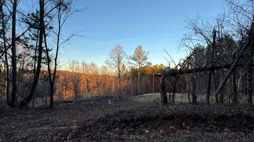 2100 Cottonport Ridge Road, Decatur, TN, 37322 | Card Image