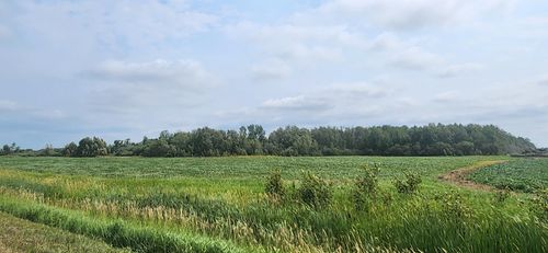 TBD 330th Ave Ne, Goodridge, MN, 56725 | Card Image