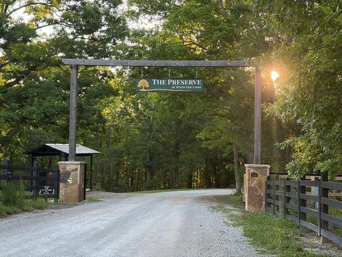 Lot 68 Black Bear Ln, Sunbright, TN, 37872-2317 | Card Image