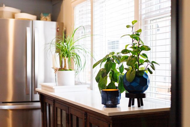 Room details featuring light countertops and freestanding refrigerator | Image 11