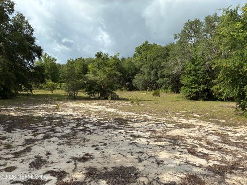 0220 Chesser Monroe Road, Hawthorne, FL, 32640 | Card Image