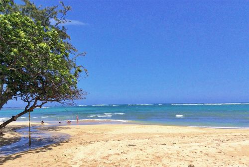 4412-51-636 Kamehameha Hwy, Kaaawa, HI, 96730-9821 | Card Image