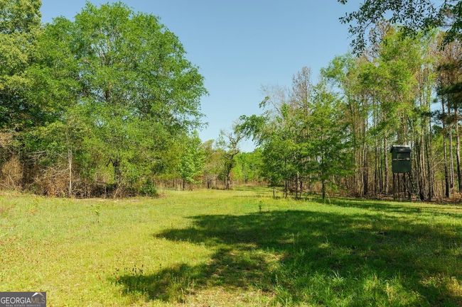 6053 Sun Hill Grange Rd, Home with 0 bedrooms, 0 bathrooms and null parking in Davisboro GA | Image 86