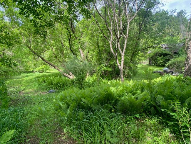 1254 Route 5, House other with 8 bedrooms, 1 bathrooms and null parking in Springfield VT | Image 13