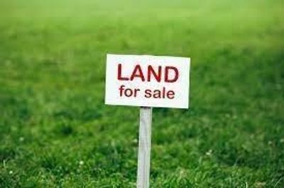 Land For Sale | Image 1