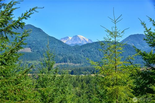1 Skinner Rd, Randle, WA, 98377 | Card Image
