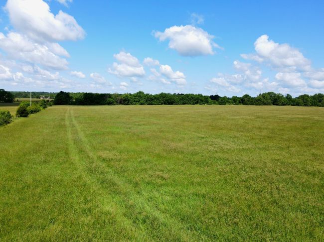 dji_fly_20250530_105606_816_174870551834 | Image 10
