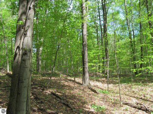 0 M 115, Tustin, MI, 49688 | Card Image